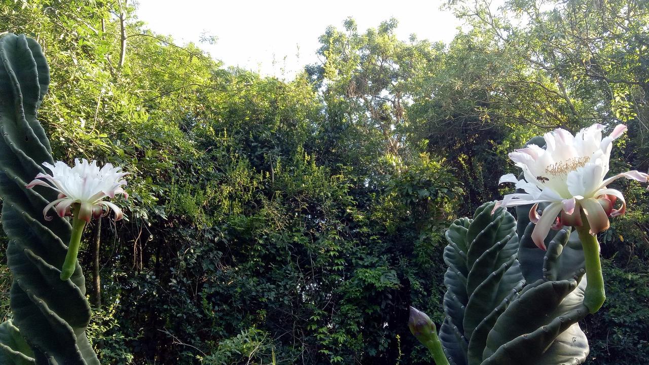 Posada Camboata Aristóbulo del Valle Esterno foto